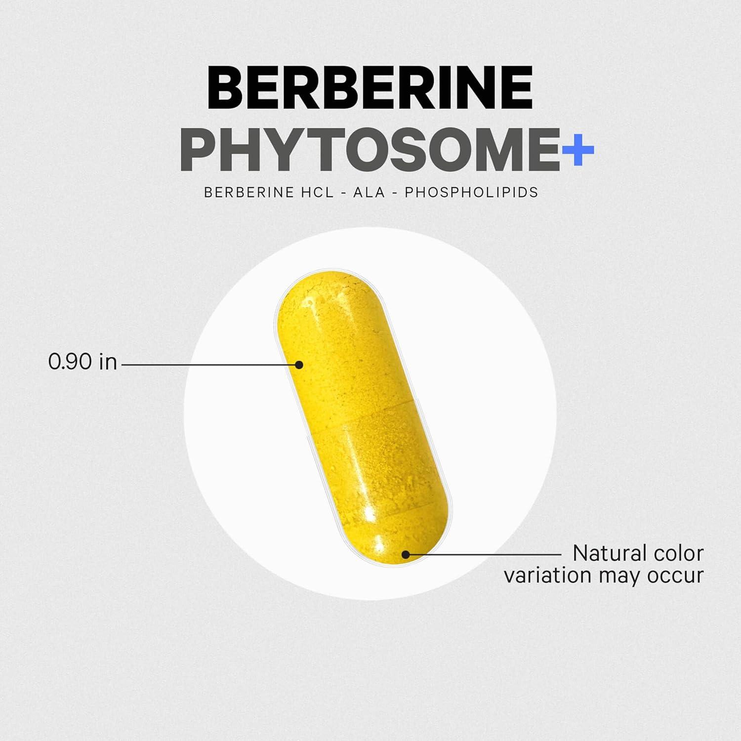 image:imageCodeage Berberine Phytosome Supplement Berberine HCL Alpha Lipoic Acid Phospholipid Complex 2Month Supply Berberine HCL Berberine Hydrochloride GlutenFree NonGMO 60 Capsules