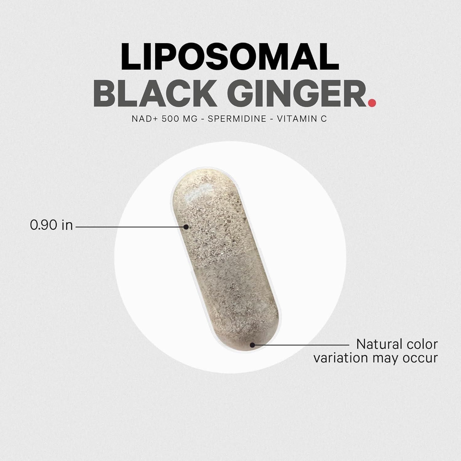 image:imageCodeage Liposomal Black Ginger Supplement Kaempferia Parviflora Root Powder 3Month Supply Ginger Root Pills and Herbal Root Liposomal Delivery 1 Capsule Per Serving NonGMO 90 Capsules