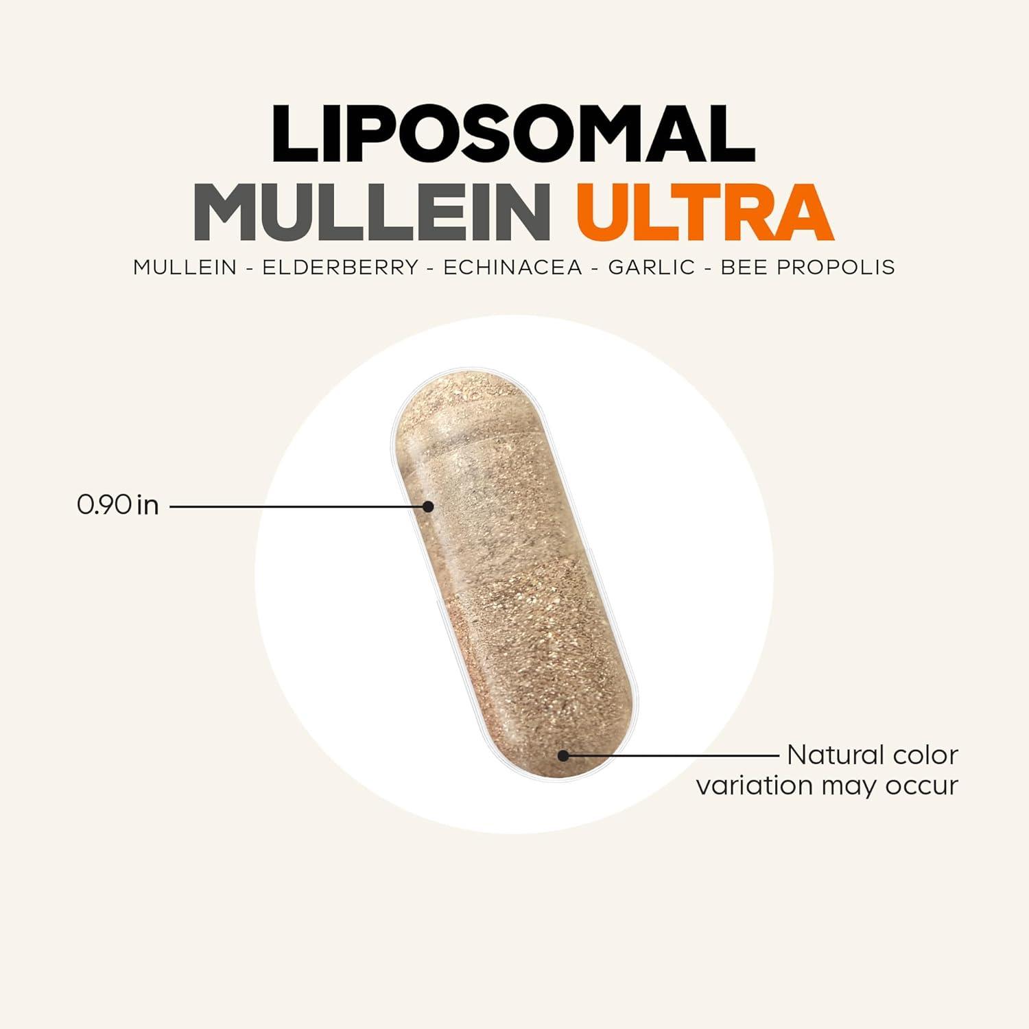 image:imageCodeage Liposomal Mullein Ultra Supplement Mullein 101 Extract Elderberry Bee Propolis Echinacea Ginger Root Andrographis Kudzu Vitamins Elecampane Eleuthero Isatis NonGMO 90 Capsules