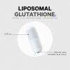 Codeage Liposomal Glutathione Supplement – Pure Reduced Setria L-Glutathione, Liposomal Delivery, Phospholipid Complex – Encapsulated Glutathione Powder Pills – Vegan, Non-GMO – 60 Capsules