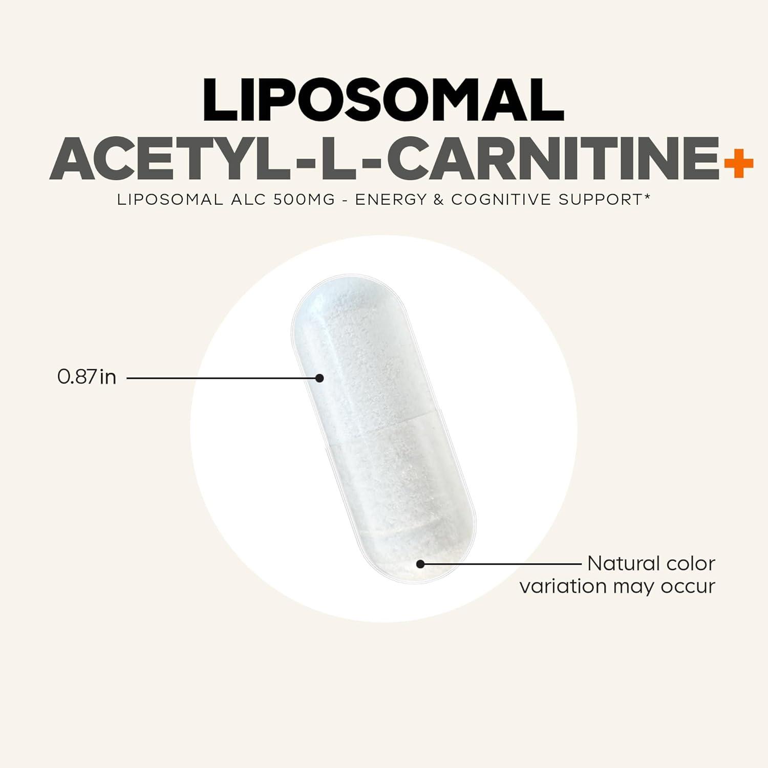 image:imageCodeage Liposomal AcetylLCarnitine Supplement 500 mg AcetylLCarnitine per Serving 3Month Supply Liposomal Delivery Alcar Supplement LCarnitine NonGMO GlutenFree 90 Capsules