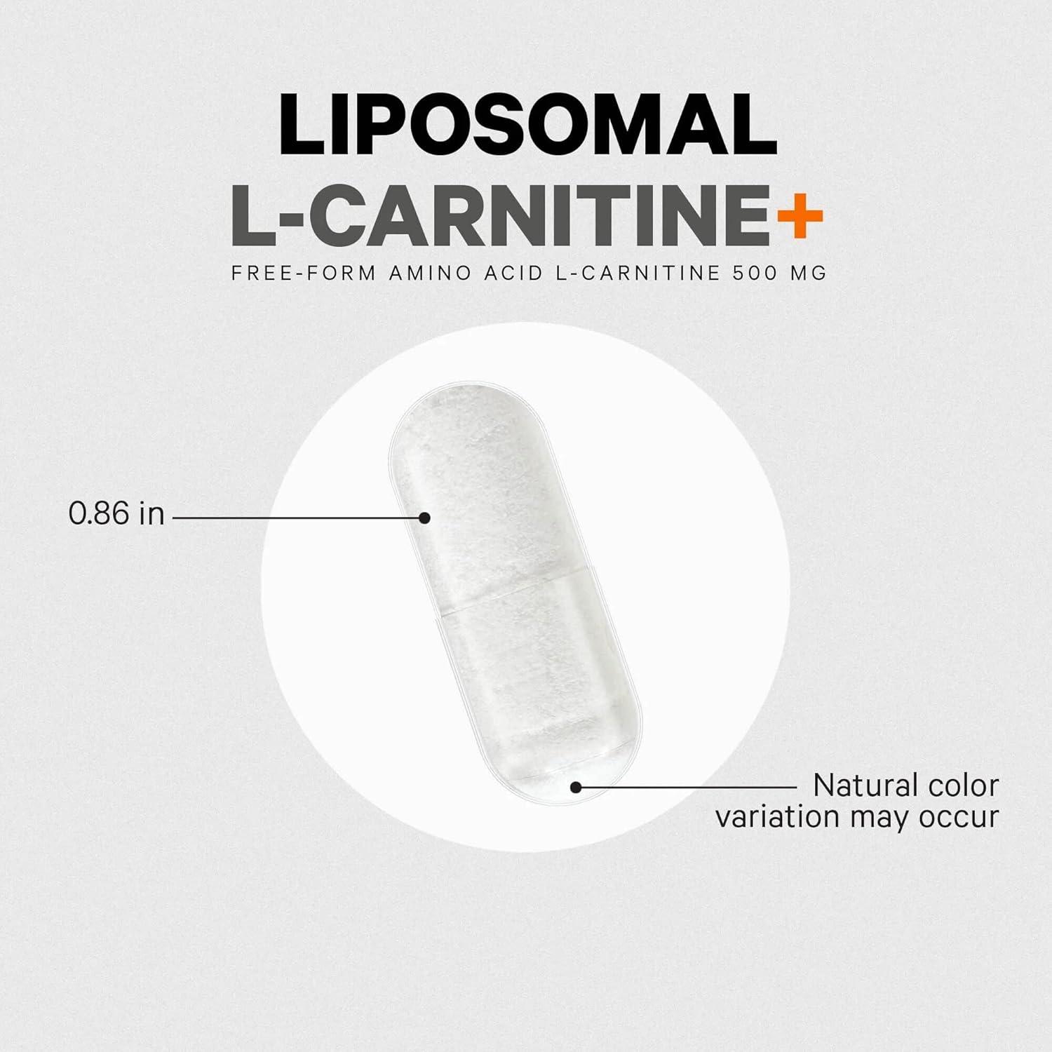 image:imageCodeage Liposomal LCarnitine Supplement 500 mg LCarnitine LTartrate per Serving FreeForm Amino Acid Carnitine Liposomal Delivery Vegan NonGMO GlutenFree 90 Capsules