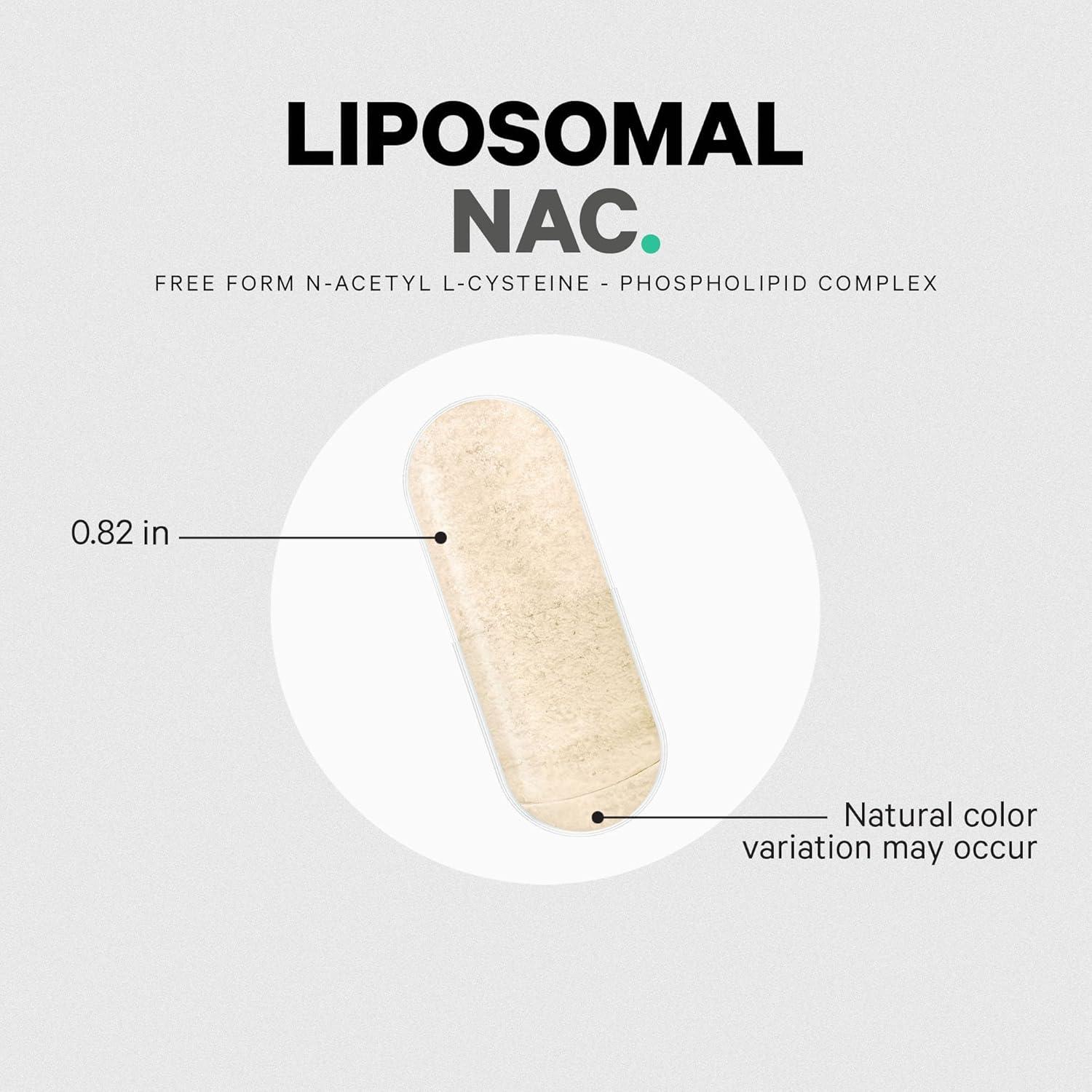 image:imageCodeage Liposomal NAC Supplement NAcetyl LCysteine Amino Acid 2 Month Supply FreeForm NAC Phospholipid Complex Vegan NonGMO GlutenFree DairyFree 120 Capsules