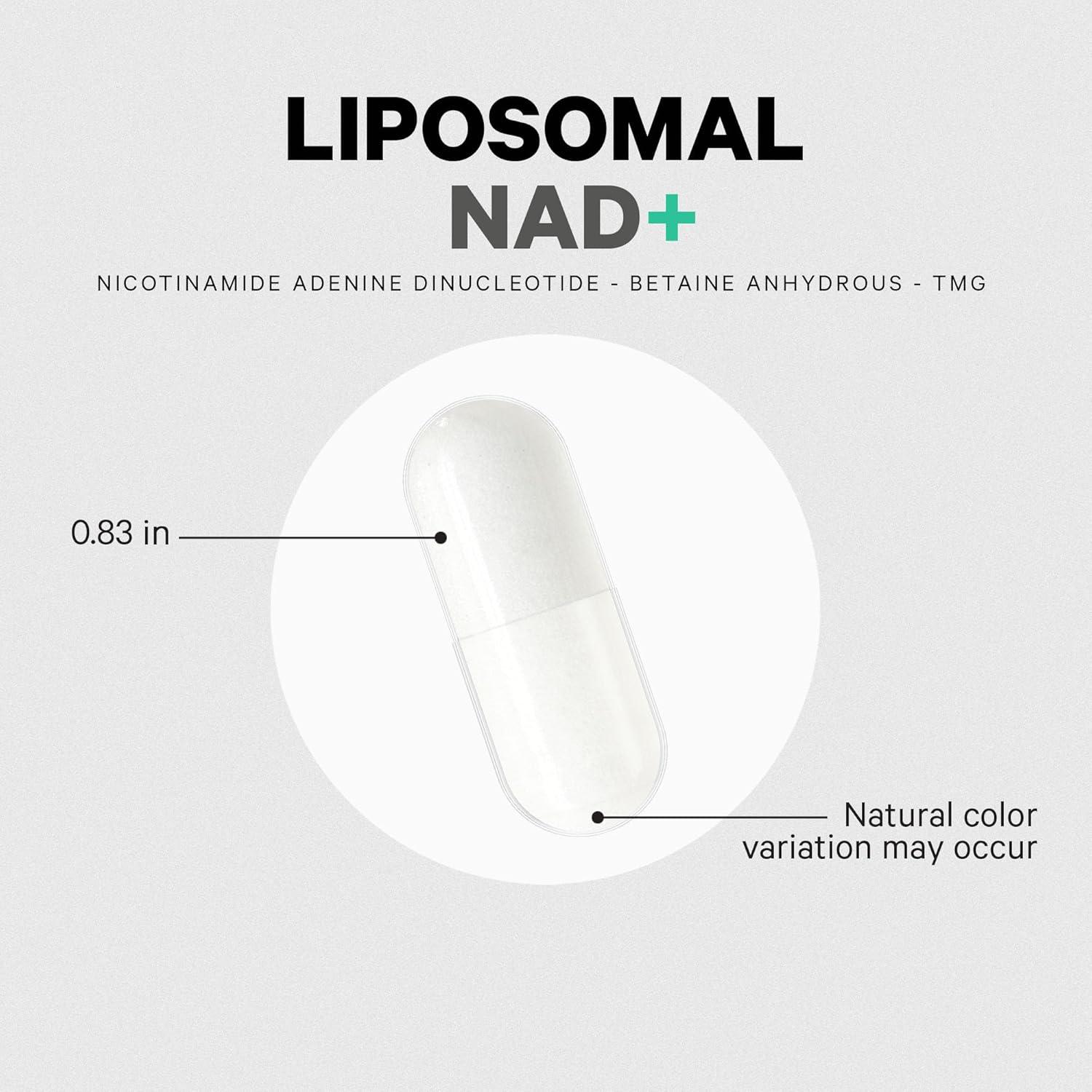 image:imageCodeage Liposomal NAD Supplement NAD Nicotinamide Adenine Dinucleotide Coenzyme Pills 500 mg NAD Per Serving amp Betaine Anhydrous Liposomal Delivery Vegan NonGMO GlutenFree 60 Capsules