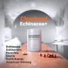 Codeage Clearhead Echinacea+ Supplement – Echinacea, Schisandra, Feverfew, Coptis, American Ginseng, Astragalus, Garlic, Probiotics, Vitamins C & D3, Zinc, Selenium – Clear Head Vitamin – 90 Capsules