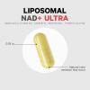 Codeage Liposomal NAD+ with Resveratrol & Vitamin B – NAD Plus Ultra for Energy & Healthy Aging Support – NAD Vitamin Supplement with Quercetin, Betaine, Riboflavin – Bioavailable – 90 Capsules