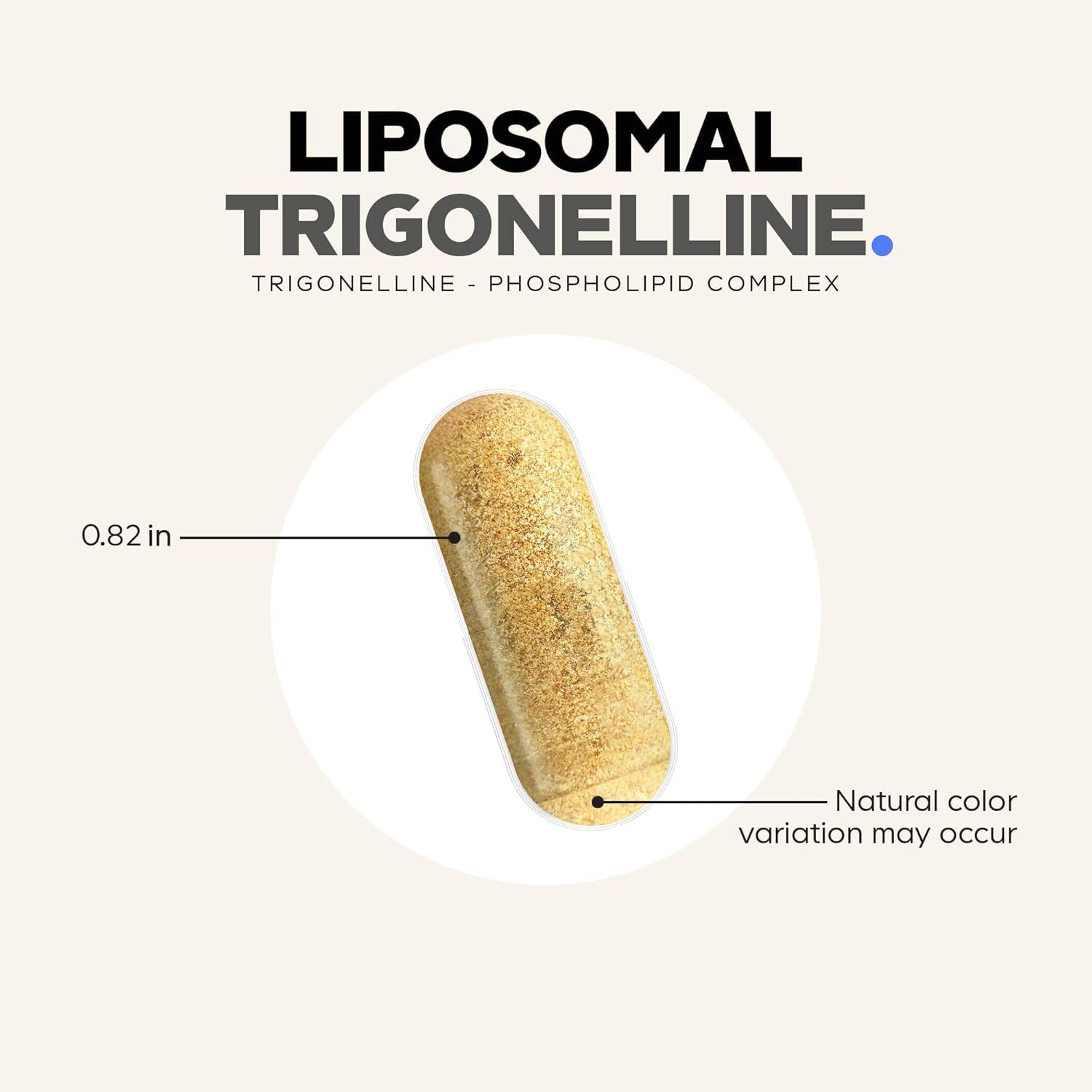 image:imageCodeage Liposomal Trigonelline 250 mg Per Capsule 3Month Supply PlantBased Alkaloid Liposomal Delivery for Bioavailability Metabolic Health Support Vegan Nootropic NonGMO 90 Capsules