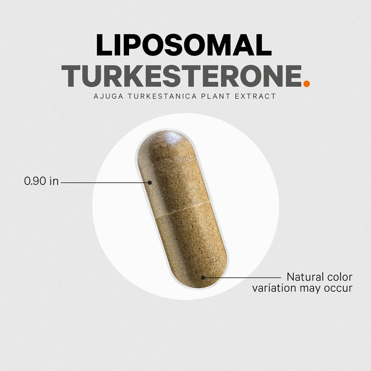 image:imageCodeage Turkesterone Supplement 4Month Supply HydroxypropylCyclodextrin Liposomal Delivery Sports Pre amp PostWorkouts Ajuga Turkestanica Vegan GlutenFree NonGMO 120 Capsules