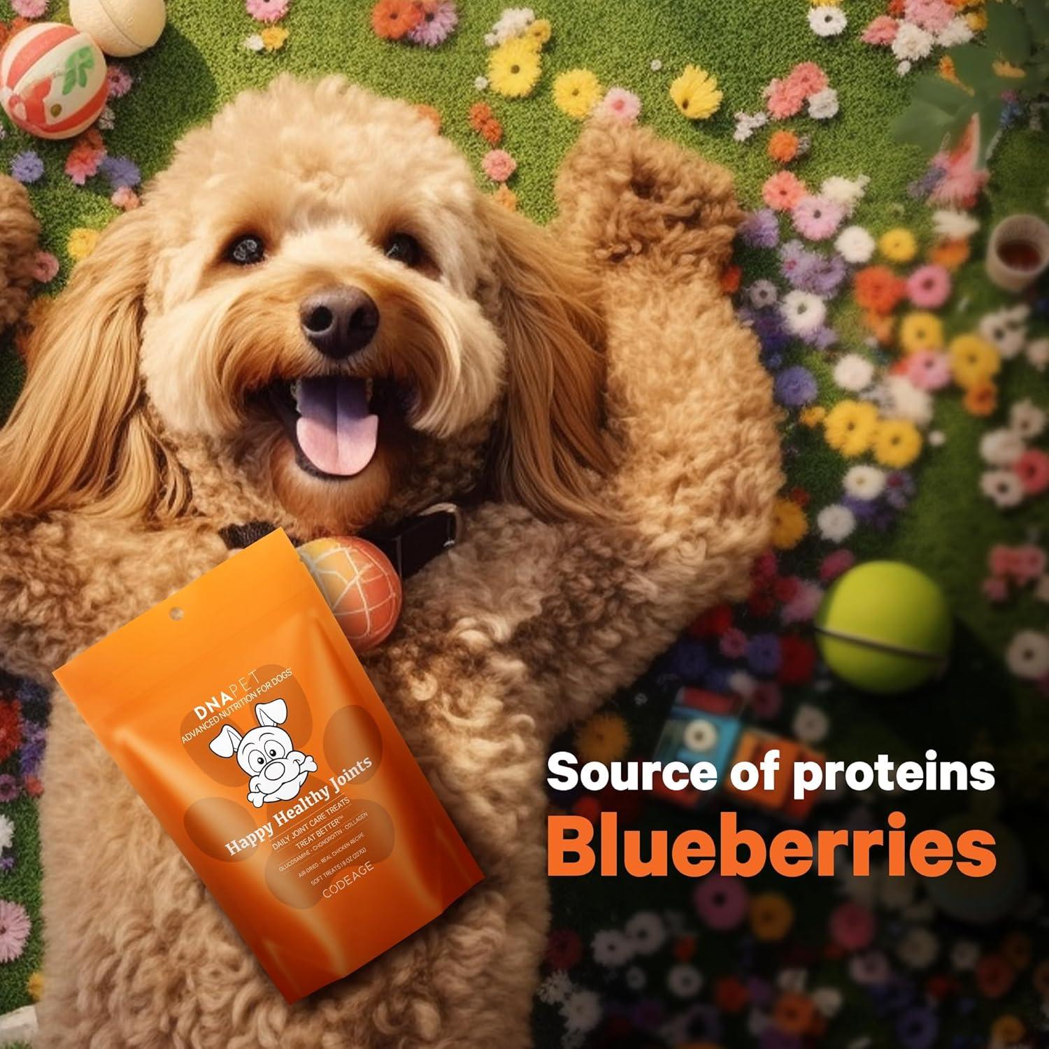 image:imageDNA PET Happy Healthy Joints Treats AirDried Chews for Dogs Natural GrainFree Treats for Training Best Dog Treats Joint Support with Real Chicken Beef Collagen Blueberries 8 Oz