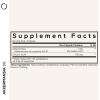 Codeage Akkermansia Synbiotic Supplement – 100 Million AFU Akkermansia Probiotic & Chicory Inulin Prebiotic – Chicory Root – 1 Capsule Per Serving – Non-GMO, Gluten-Free – 30 Capsules