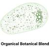 Codeage SBO Probiotics 50 Billion CFUs, Multi Strain Soil-Based Organisms, Travel Sized Shelf-Stable Probiotic Supplement, Organic Fermented Botanical Blend & Prebiotic, 7-Day Formula, 14 Capsules