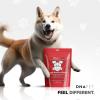 DNA PET Happy Healthy Muscles Supplement for Dogs – Grass-Fed Beef Protein Powder – Rich in Collagen and Amino Acids – Pure Beef Isolate Protein – All Life Stages – Unflavored & Non-GMO – 10.58 Oz