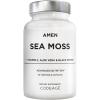Amen Sea Moss Supplement – 1000mg Organic Irish Sea Moss, Bladderwrack, Burdock – Vitamin C, Aloe Vera, Black Pepper – Seaweed Superfood, Vitamins, Minerals, and Antioxidants – Non-GMO – 90 Capsules